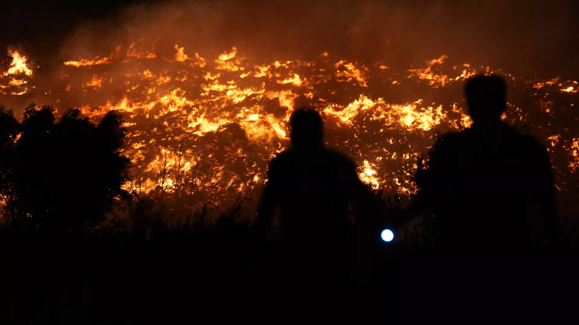Bakan Yumaklı: Manisa ve Uşak’taki orman yangınları kontrol altına alındı