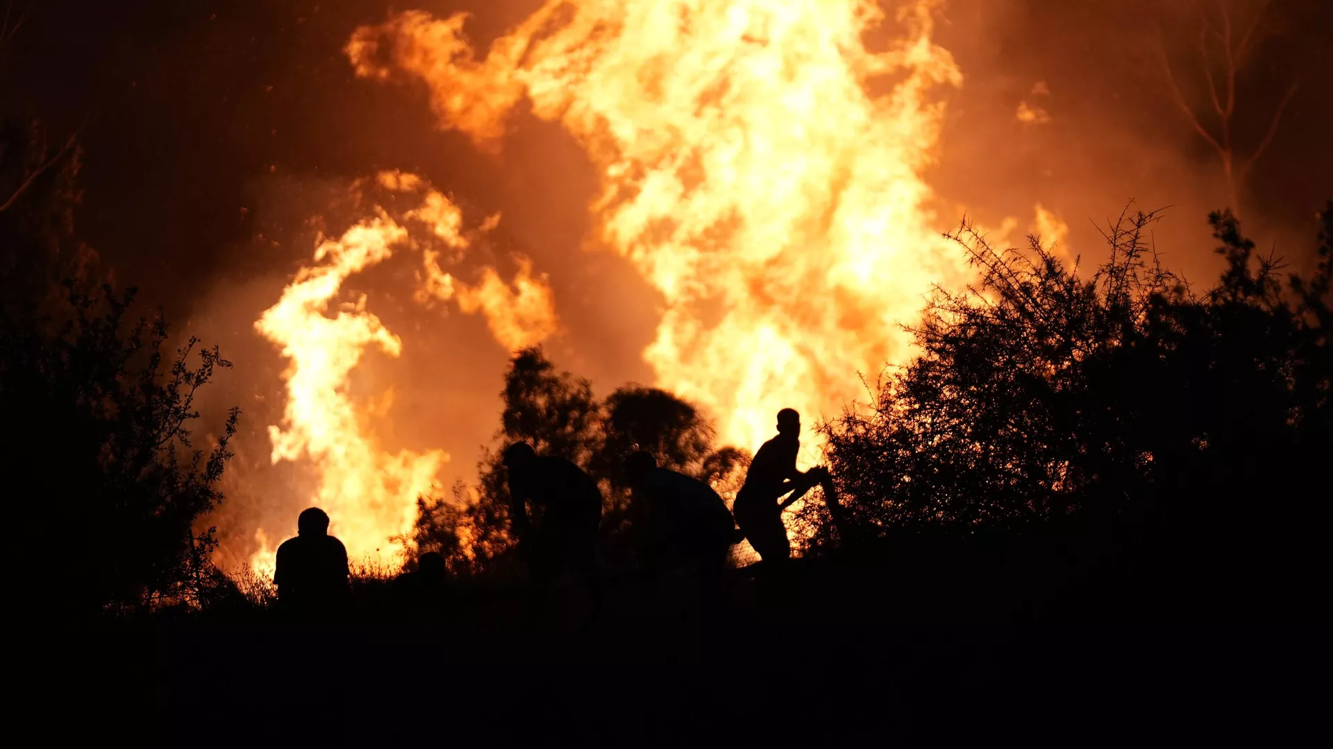 AFAD: Son 1 haftada 131 yangın çıktı, binlerce kişi tahliye edildi