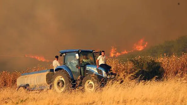İzmir ve Bolu’daki yangınlar kontrol altında; Aydın ve Manisa’da orman yangınları devam ediyor