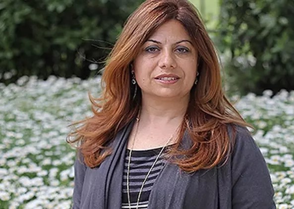 Zeynep Altıok Akatlı: Kuyu tipi…