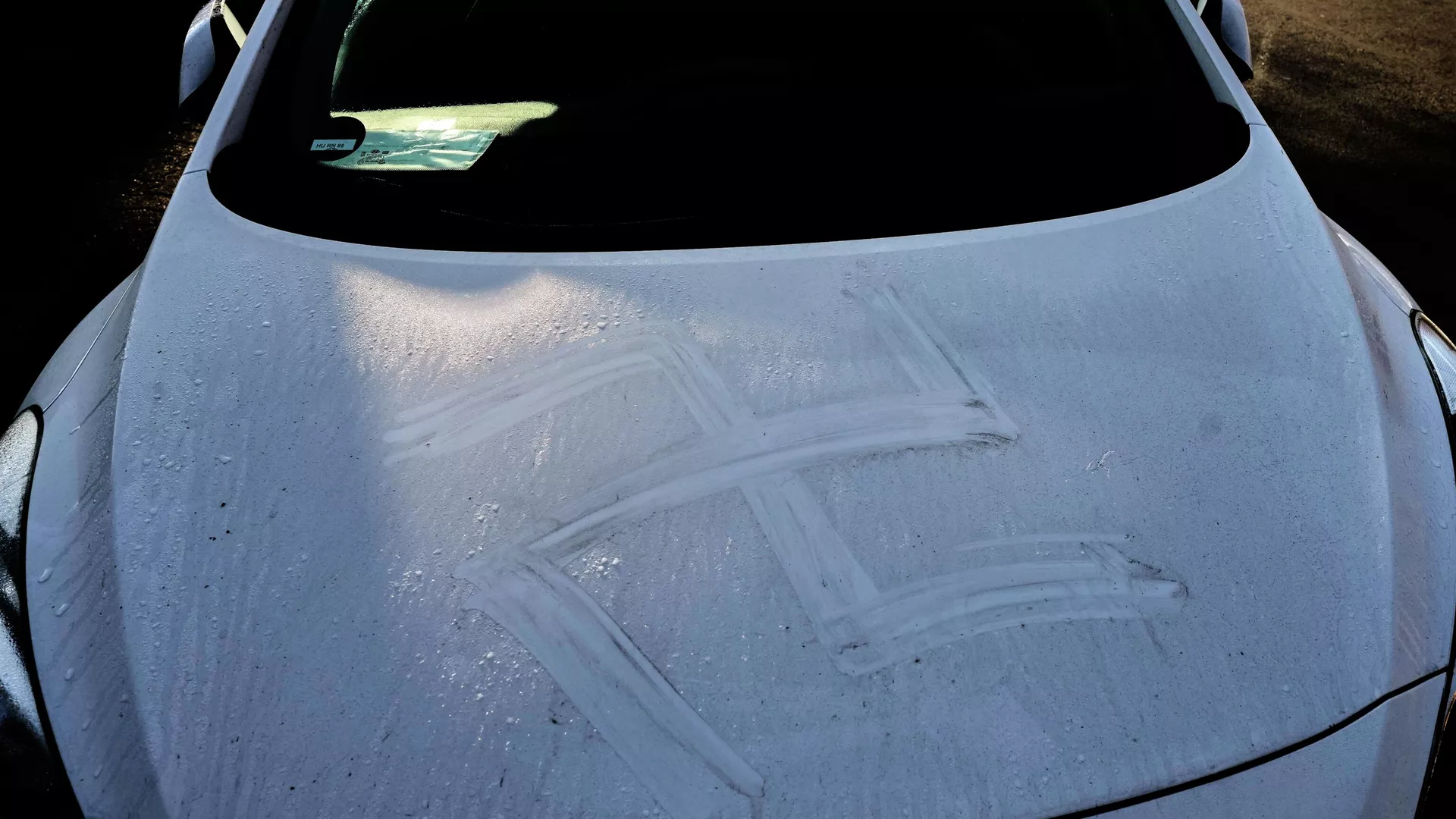 Almanya’da ırkçı saldırı: 50 araca insan kanıyla gamalı haç çizildi