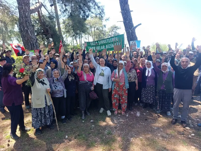 Danıştay’dan Akbelen kararı: Milas’taki acele kamulaştırmalar durduruldu