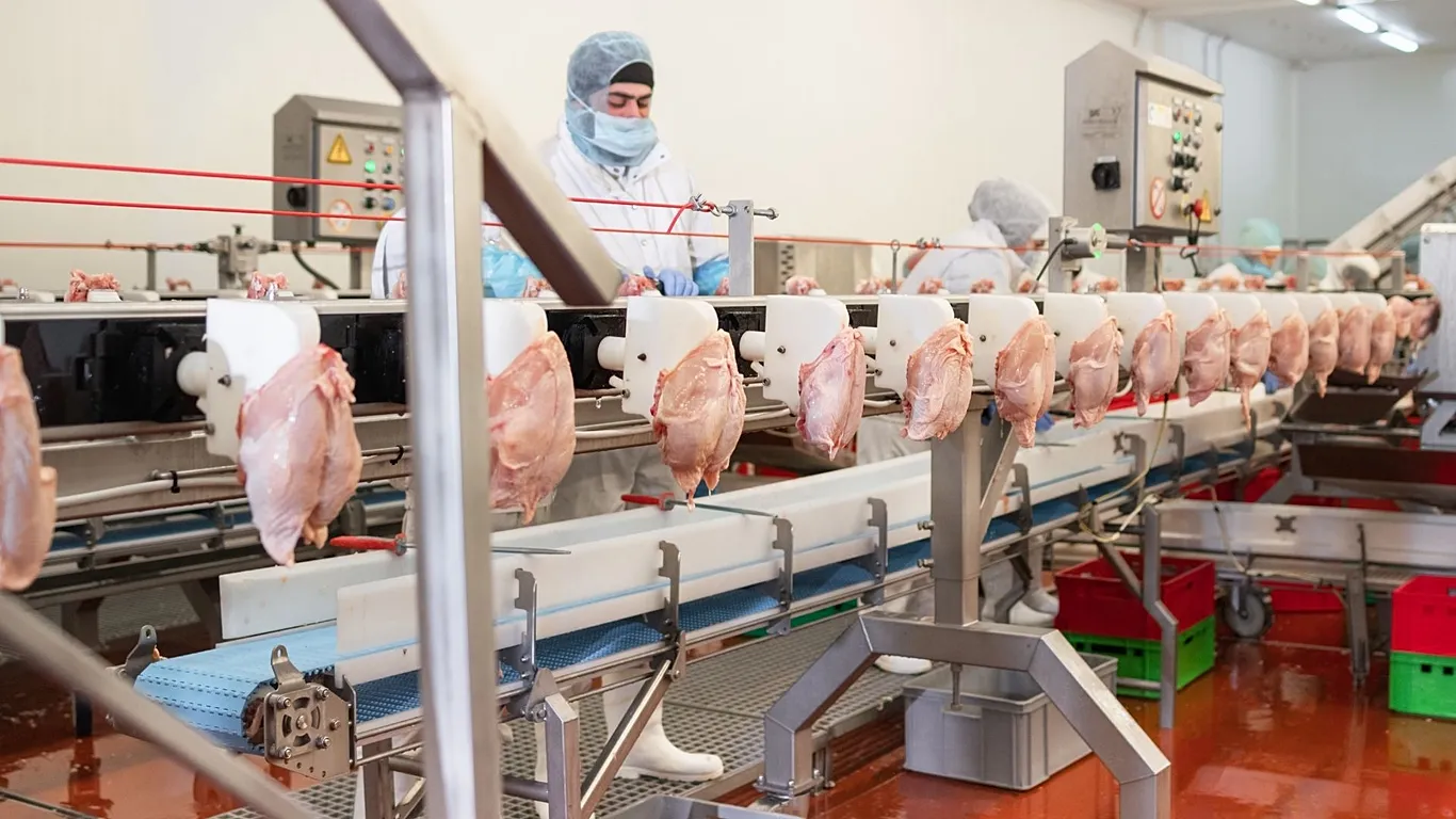 Beyaz et sektörüne fahiş fiyat operasyonu: 13 şirkete denetim kayyumu atandı