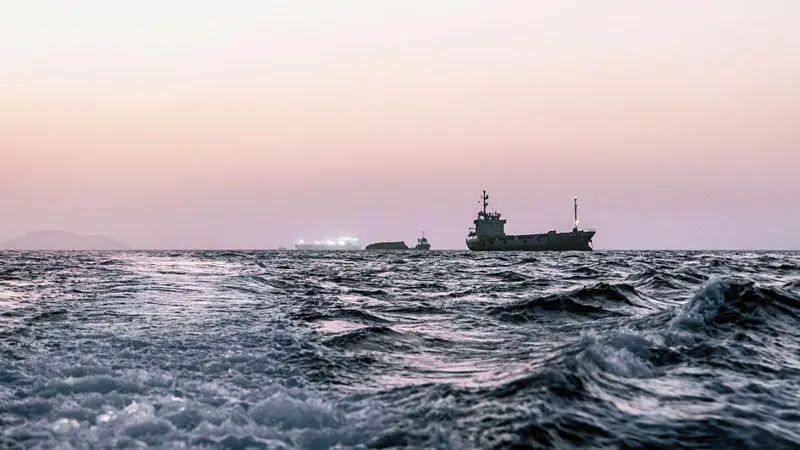Hürmüz Boğazı’nda mahsur kalan gemiler ‘biyolojik istilaya yol açabilir’