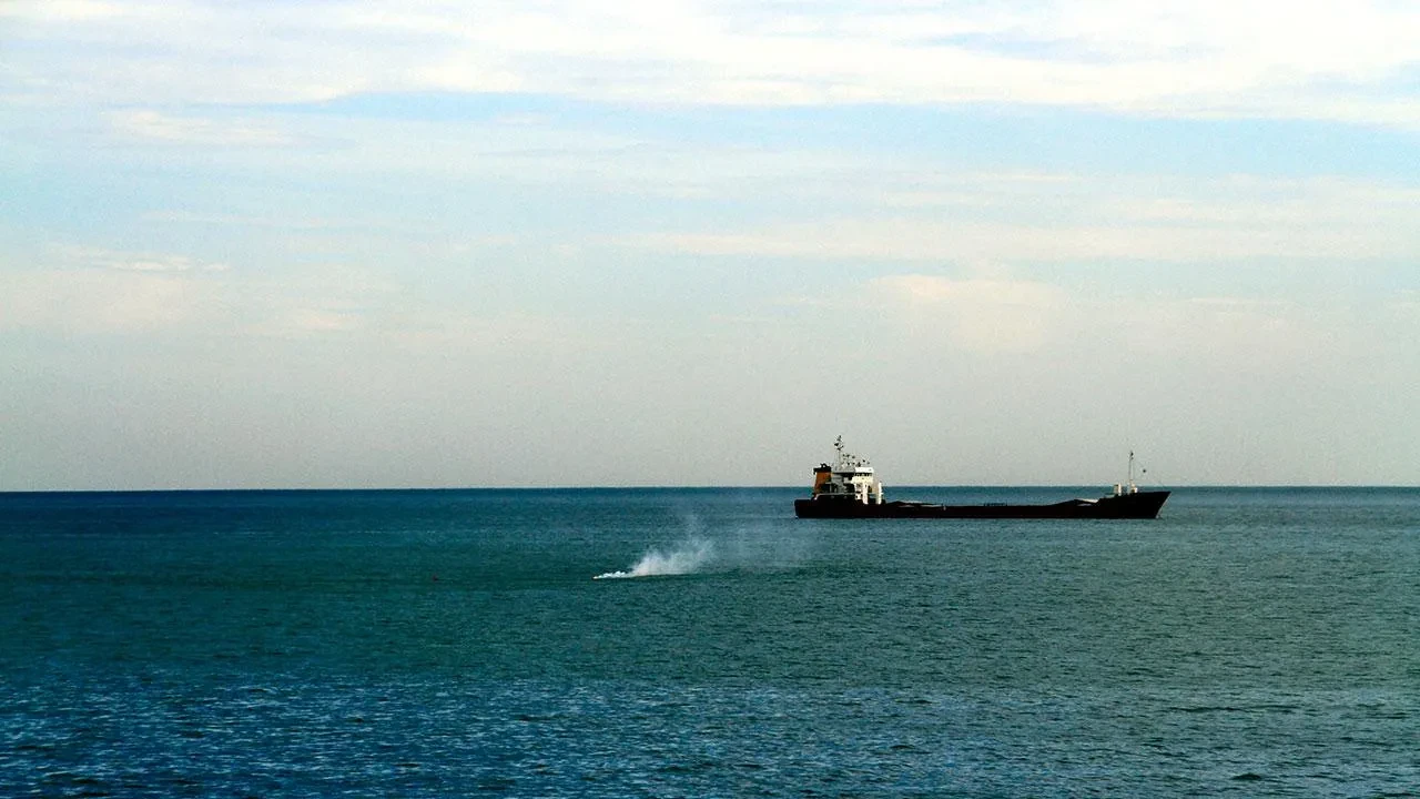 Bulgaristan Başbakanı: Karadeniz’de iki gemi İHA ile vuruldu, biri battı